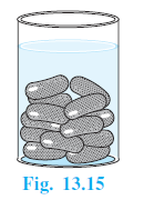Page 248 Chapter 13 Class 10th Non-Rationalised NCERT 2019-20